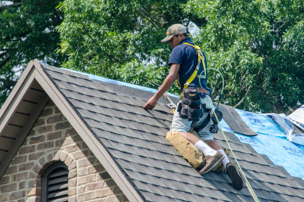 Best Shingle Roofing Installation  in Roosevelt, NY
